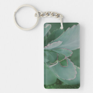 Beautiful Desert Plant Art Photograph Keychain