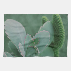 Beautiful Desert Plant Art Photograph Kitchen Towel