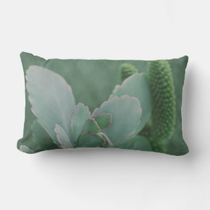 Beautiful Desert Plant Art Photograph Lumbar Pillow