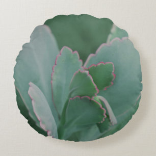Beautiful Desert Plant Art Photograph Round Pillow