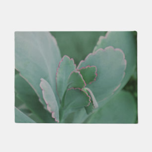 Beautiful Desert Plants Doormat
