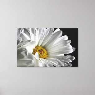 Beautiful Detailed Daisy Wall Canvas Print