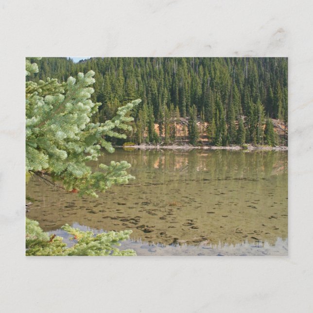 Beautiful Devils Lake Oregon Postcard (Front)