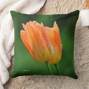 Beautiful Dew-Kissed Pastel Orange Tulips Throw Pillow