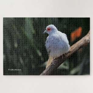 Beautiful Diamond Dove in the Spotlight Jigsaw Puzzle