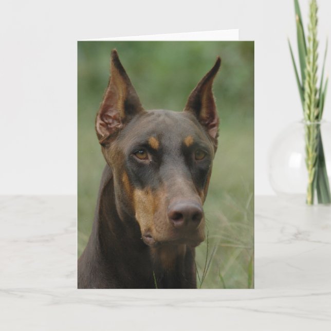 Beautiful Doberman Card (Front)