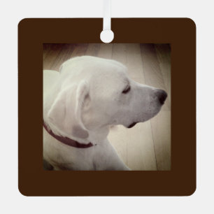 Beautiful Dog Profile Photo Dark Brown Rustic Metal Ornament