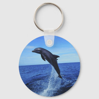 Beautiful Dolphin Keychain