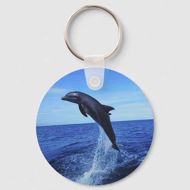 Beautiful Dolphin Keychain (Front)