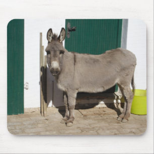 Beautiful Donkey Mouse Pad