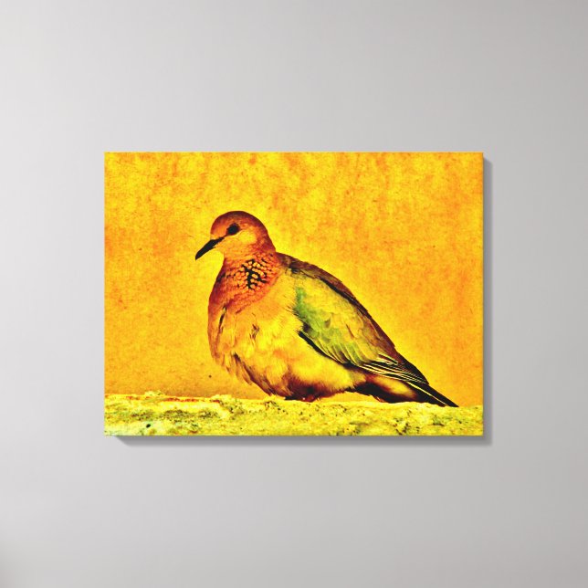 Beautiful Dove Canvas Print (Front)