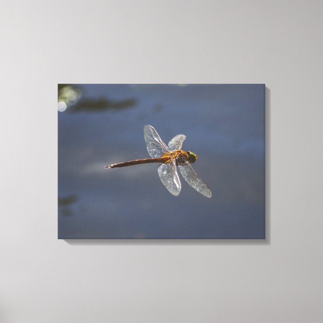 Beautiful Dragonfly Close-Up Over Water Canvas Print (Front)