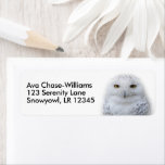 Beautiful, Dreamy and Serene Snowy Owl