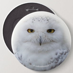 Beautiful, Dreamy and Serene Snowy Owl 6 Inch Round Button