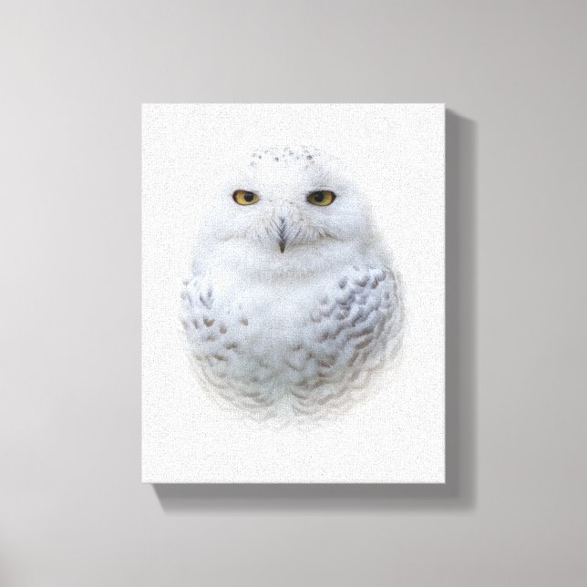 Beautiful, Dreamy and Serene Snowy Owl Canvas Print (Front)