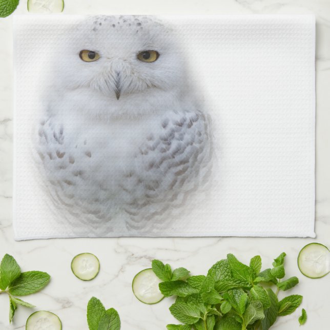 Beautiful, Dreamy and Serene Snowy Owl Kitchen Towel (Folded)