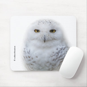 Beautiful, Dreamy and Serene Snowy Owl Mouse Pad