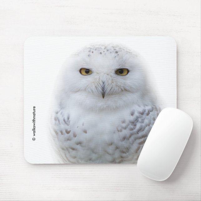 Beautiful, Dreamy and Serene Snowy Owl Mouse Pad (With Mouse)