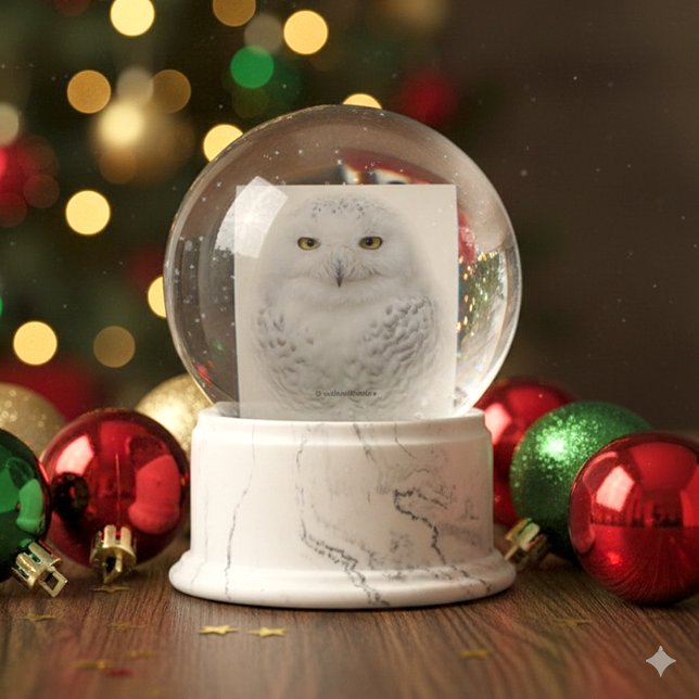 Beautiful, Dreamy and Serene Snowy Owl Snow Globe (Snowy Owl Glass Snow Globe Cover Photo)