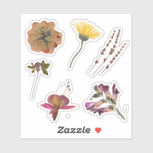 Beautiful dried flowers Nature and craft Cute