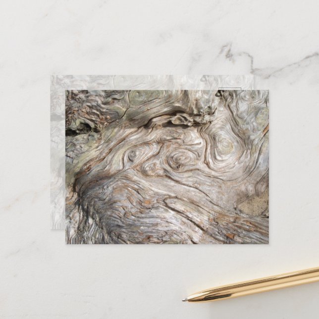 Beautiful Driftwood Nature's Artwork Postcard (Front/Back In Situ)
