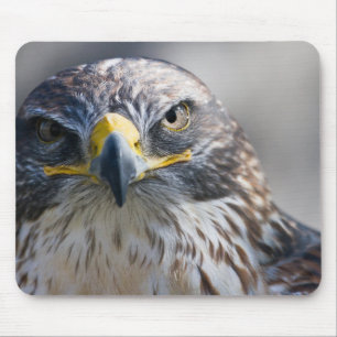 Beautiful Eagle Mouse Pad