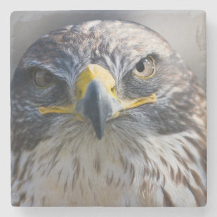 Beautiful Eagle Stone Coaster