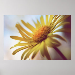 Beautiful Elegant Abstract Yellow Daisy Flower Poster