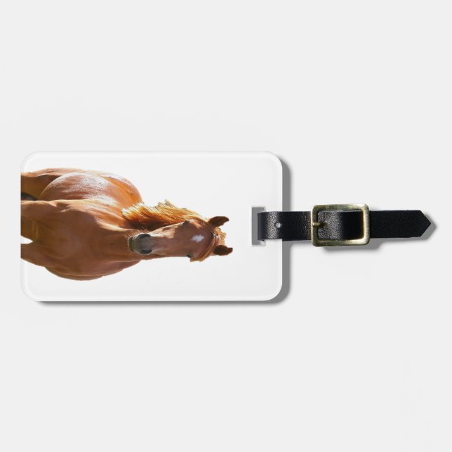 Beautiful Elegant Brown Horse Luggage Tag (Front Horizontal)