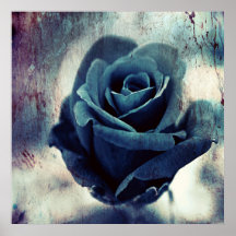 Beautiful Elegant Magical Artistic Blue Rose