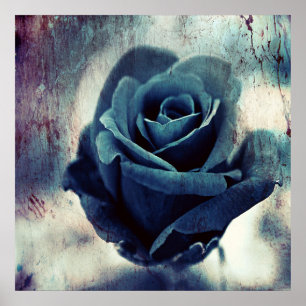 Beautiful Elegant Magical Artistic Blue Rose Poster