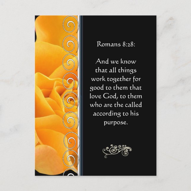 Beautiful Elegant Orange Rose Christian Encourage Postcard (Front)