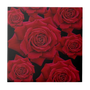 Beautiful & Elegant Red Rose Bloom Pattern Tile