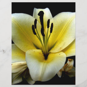 Beautiful Elegant Yellow on Black Flower Flyer