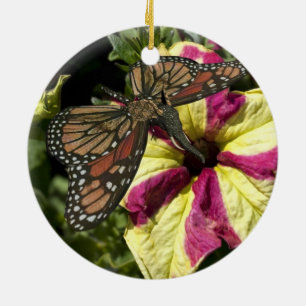 Beautiful Elephant Butterfly Ceramic Ornament