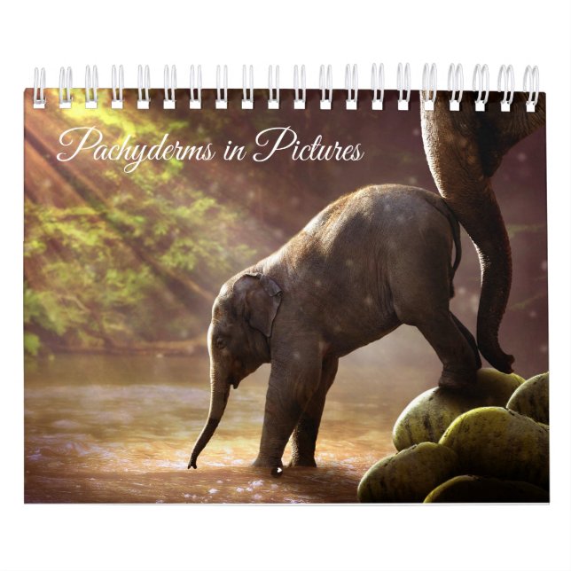 Beautiful Elephant Photographs Calendar (Cover)