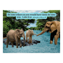 Beautiful Elephant Scripture Luke 6:31