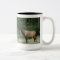 Beautiful Elk