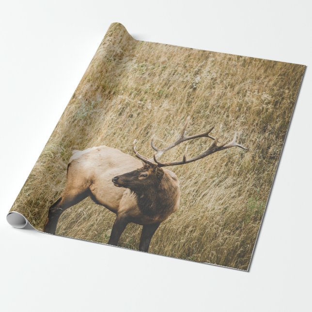 BEAUTIFUL ELK DEER WRAPPING PAPER (Unrolled)