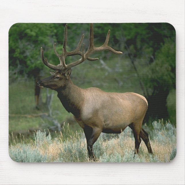 Beautiful Elk Mouse Pad (Front)