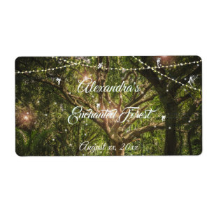 Beautiful, Enchanted Forest, Fairies, Sweet 16,