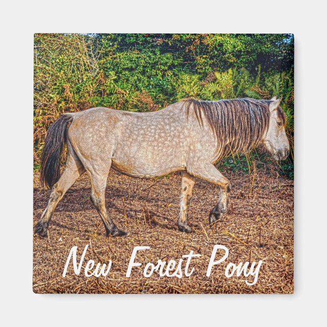 Beautiful Equines Horse-lover's Gift Magnet (Front)