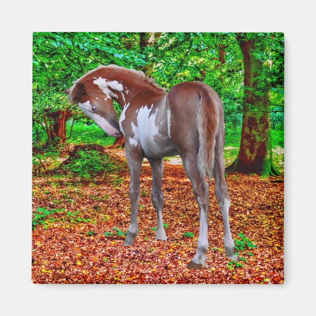 Beautiful Equines Horse-lover's Gift Magnet (Front)