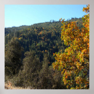 Beautiful Fall colors..... Poster