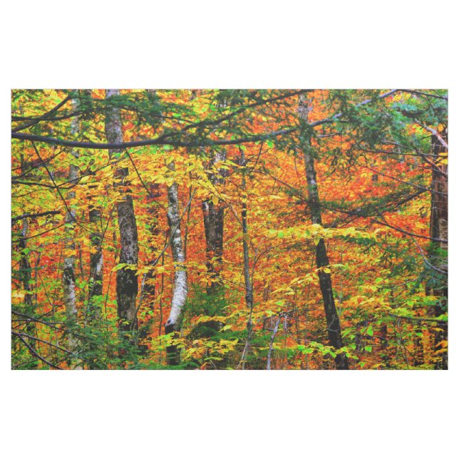 Beautiful Fall Colours in fabric (Yard)