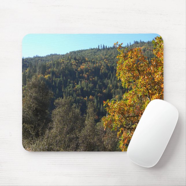 Beautiful Fall colours..... Mouse Pad (With Mouse)