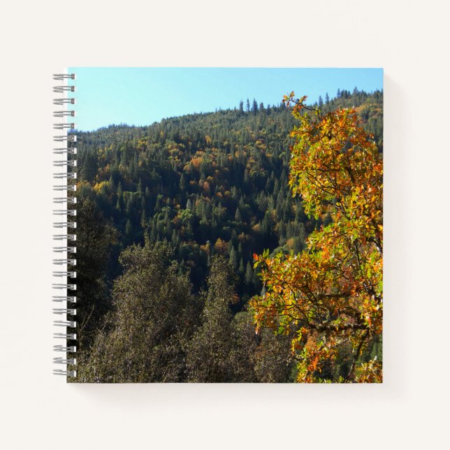 Beautiful Fall colours..... Notebook (Front)