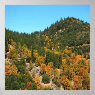 Beautiful Fall day in the mountains...... Poster