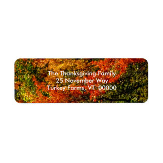 Beautiful Fall Foliage Photo Return Address Labels