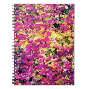Beautiful Fall Leaves Notebook